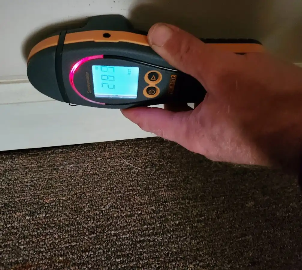 Moisture detection at baseboard during Burst Pipe Cleanup in Morris